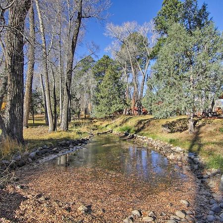 Cozy Colorado Cabin With Deck, Grill And River Access! Buena Vista Exterior foto