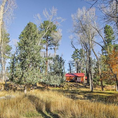 Cozy Colorado Cabin With Deck, Grill And River Access! Buena Vista Exterior foto