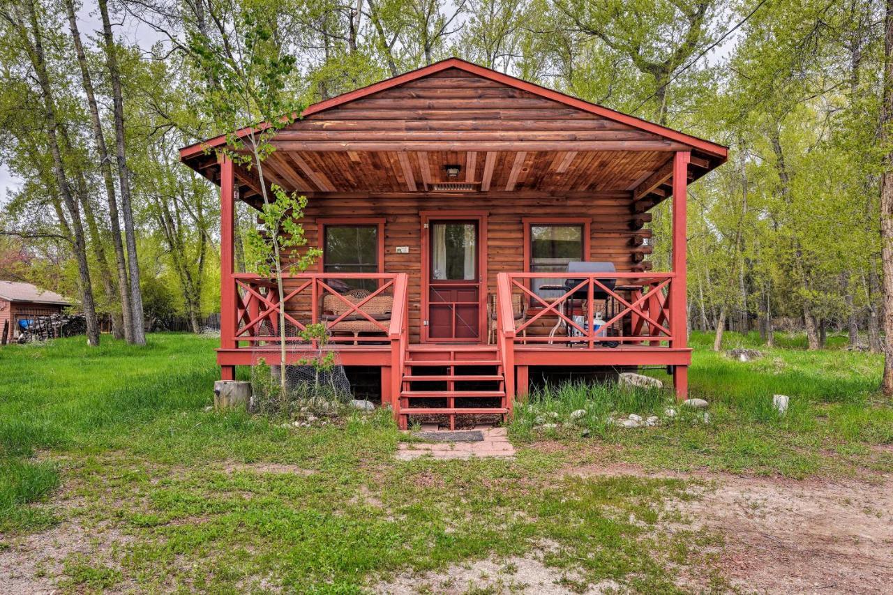 Cozy Colorado Cabin With Deck, Grill And River Access! Buena Vista Exterior foto