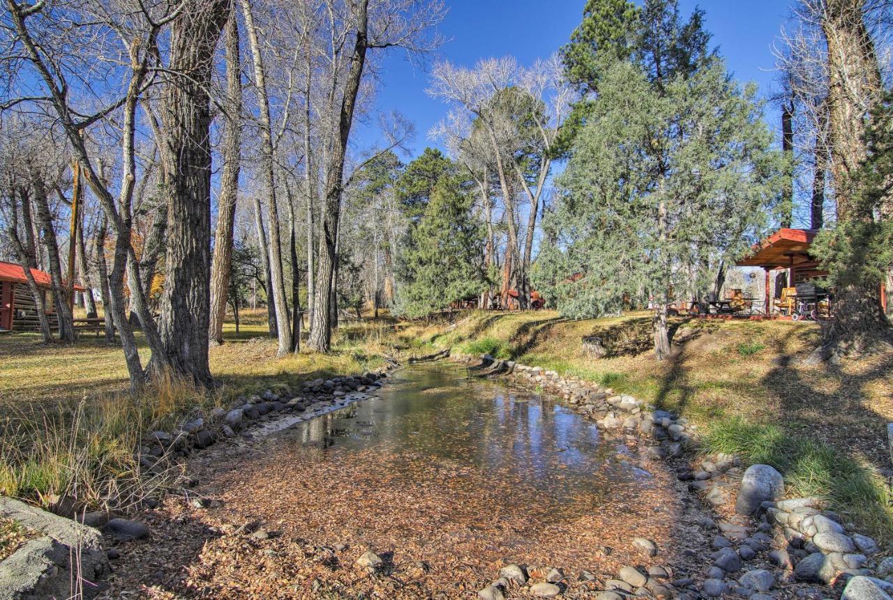 Cozy Colorado Cabin With Deck, Grill And River Access! Buena Vista Exterior foto